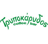 Τρυποάρυδος