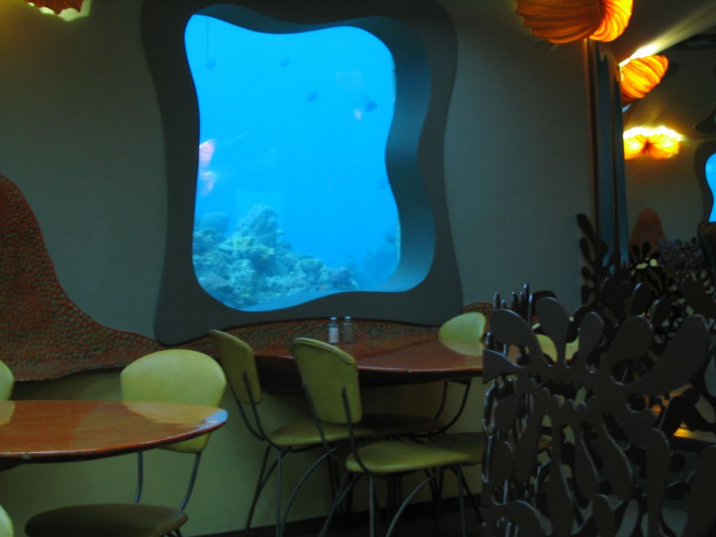 Red Sea Star Bar